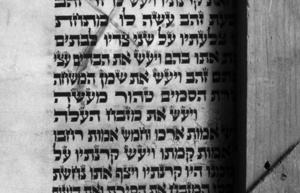 Other Side of the Torah.jpg